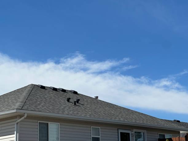 Best Roof Repair  in Oneida, TN