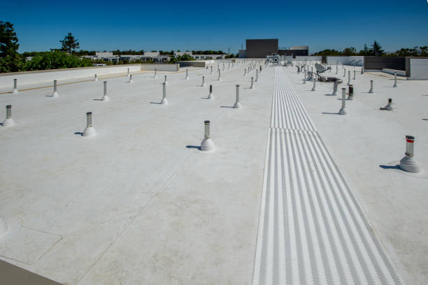 Best Cold Roofs  in Oneida, TN